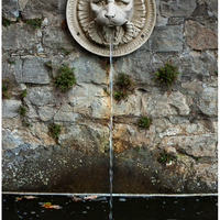 Lion's head at a fountain near Orangerie